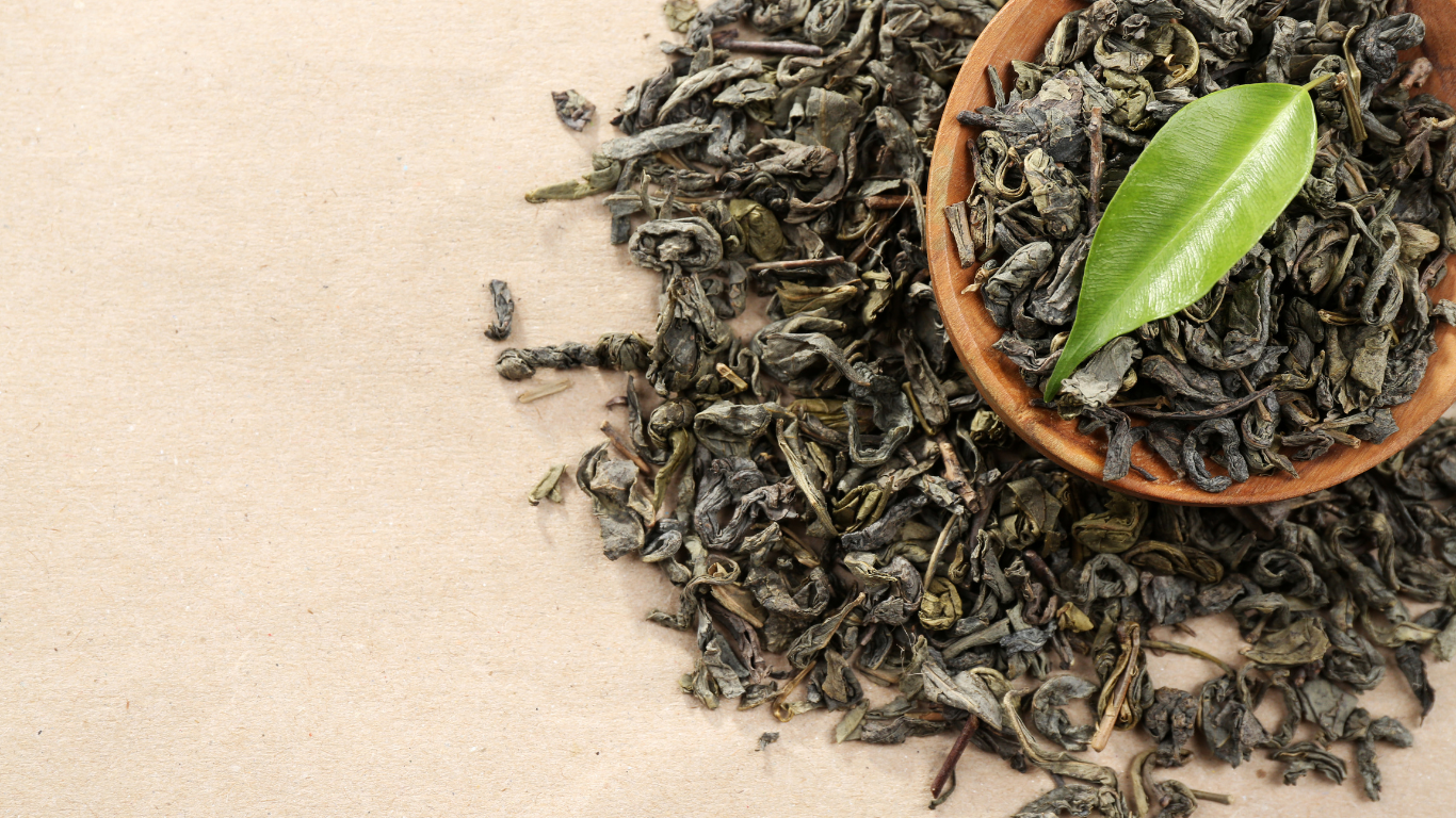 world environment day